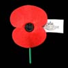 poppy
