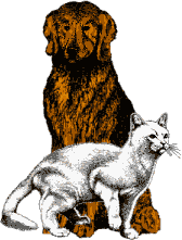 pets