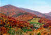 BlueRidge10.jpg (64118 bytes)