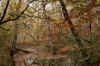 woodlandstreamcadescove.jpg (96128 bytes)