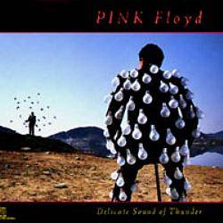 Delicate Sound of Thunder
