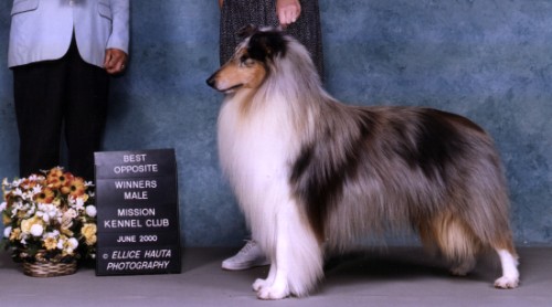 Duke