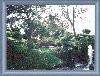 Water Garden