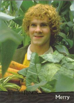 Looks like we will be having mainly veg for dinner!