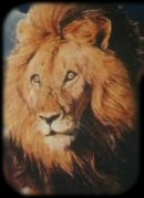 Aslan