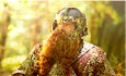 Gimli is ready