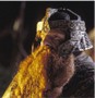 Nice beard