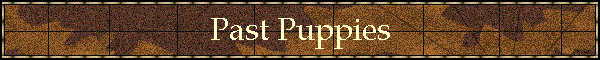 Past Puppies