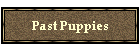 Past Puppies