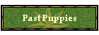 Past Puppies