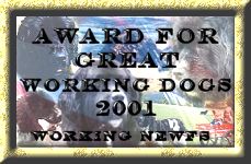 Thank You Working Newfs.&nbsp; Click here to visit this site.