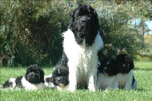 Brandy with Mom and siblings