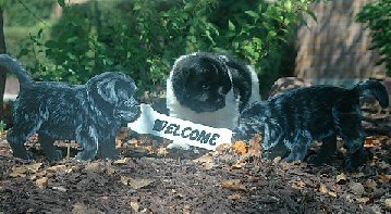 Our welcome sign seems to have a new addition