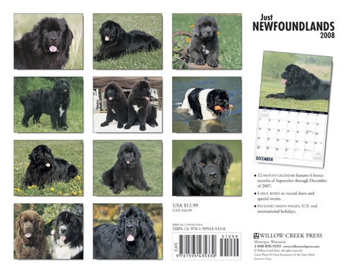 Calendar Back
