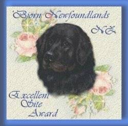 Thank you Bjorn Newfoundlands