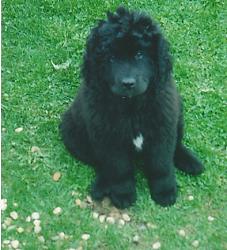 Hanna at 10 weeks