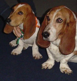 Cousin Bailey and Happy