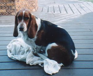 Happy and her blanket