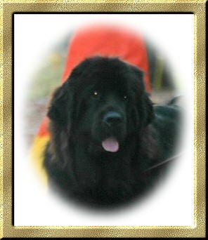 Gretel