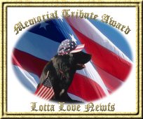 Our Memorial Tribute to the USA ~ Our Memorial Award