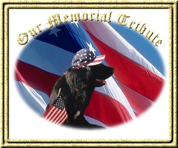 Our Memorial Tribute