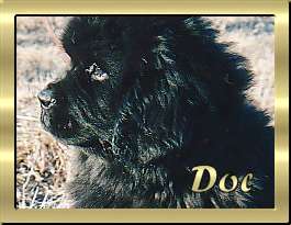 Doc
