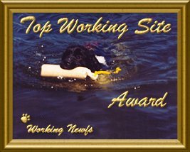 Thank you Working Newfs