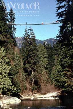 Capilano Suspension Bridge