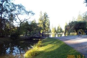 Central Park