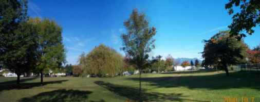 a Vancouver park