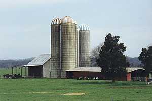 Barn #31 - Eastern TN