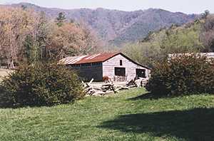 Barn #37 - Cades Cove - GSMNP