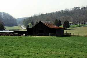 Barn #55 - Eastern TN