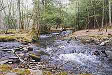 Stream in Cades Cove