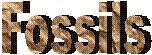 Fossils
