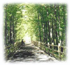 Harlem Rail Trail