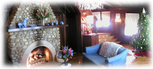 Comfortable Ambience