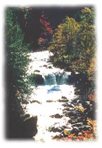 Nearby Stream