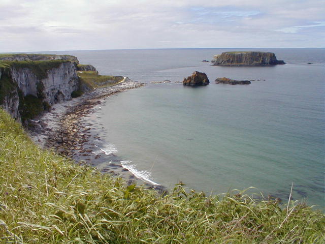 sheep island