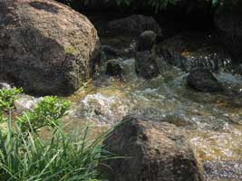 Turbulent waters