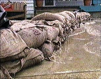 Millions of sandbags