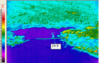Screen capture of FLIR image.