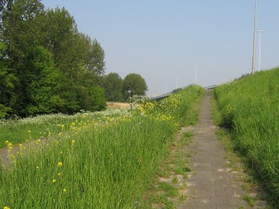 Pad omhoog Maassluis