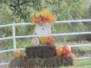 Halloween4.jpg (102114 bytes)