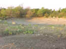 DriedupTank.jpg (61064 bytes)