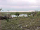 bigtank1.jpg (57967 bytes)