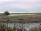 smalltank1.jpg (59566 bytes)