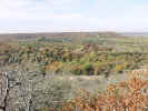 FallColor13.jpg (91726 bytes)