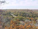 FallColor14.jpg (91763 bytes)