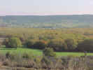 FallColor17.jpg (57011 bytes)